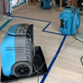 Prompt Water Extraction Services in Beaverton